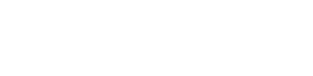 AuctionPass.com